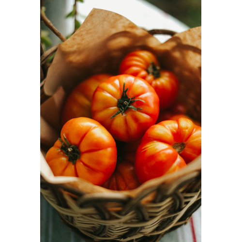 Tomates Corazón de Buey - 2KG